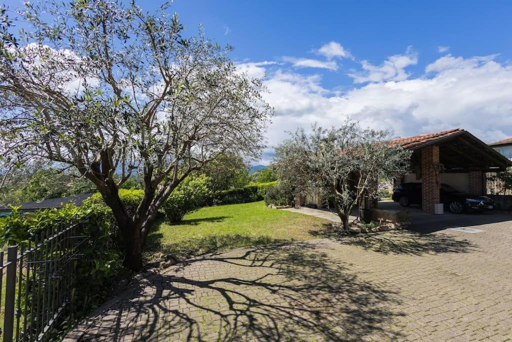 Villa Bruno Selvago In Lessona エクステリア 写真